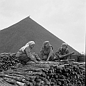 souvenirs en noir et blanc (249)